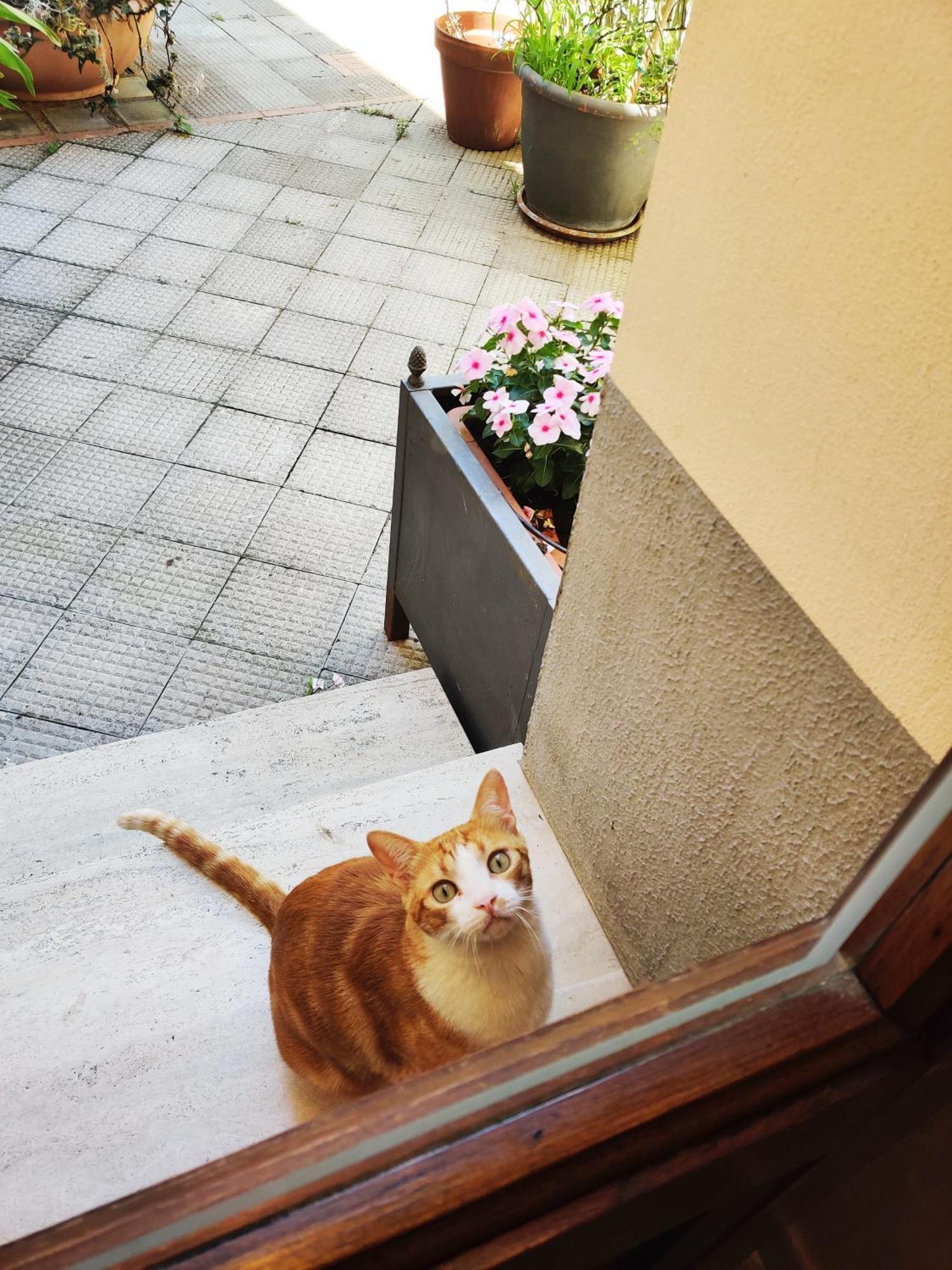 B&B Gattacicova Cava deʼ Tirreni Δωμάτιο φωτογραφία