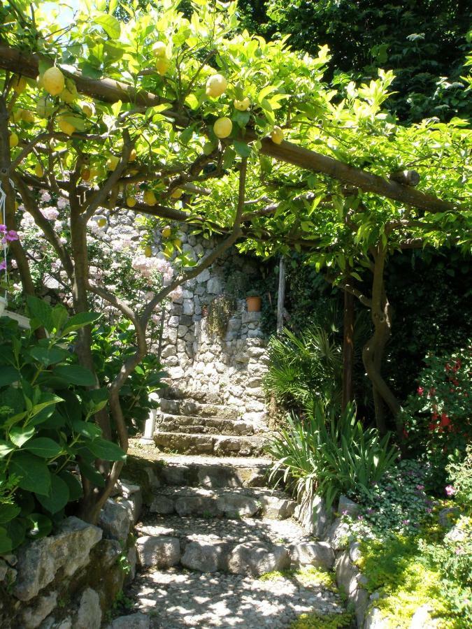 B&B Gattacicova Cava deʼ Tirreni Εξωτερικό φωτογραφία